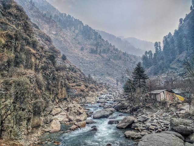 Mystic Forest View Kasauli I Serviced Villa I Best Seller I Vacations I Family Events I Open Air Lawn I Sky Bonfire I Kasauli By Exotic Stays Exterior foto