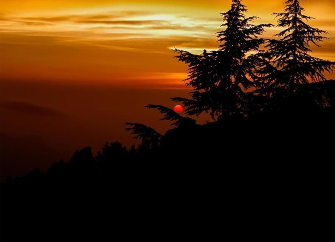 Mystic Forest View Kasauli I Serviced Villa I Best Seller I Vacations I Family Events I Open Air Lawn I Sky Bonfire I Kasauli By Exotic Stays Exterior foto