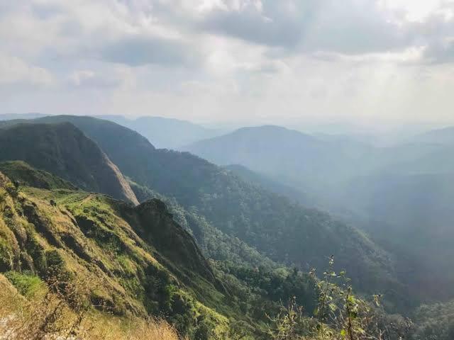 Mystic Forest View Kasauli I Serviced Villa I Best Seller I Vacations I Family Events I Open Air Lawn I Sky Bonfire I Kasauli By Exotic Stays Exterior foto