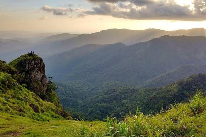 Mystic Forest View Kasauli I Serviced Villa I Best Seller I Vacations I Family Events I Open Air Lawn I Sky Bonfire I Kasauli By Exotic Stays Exterior foto