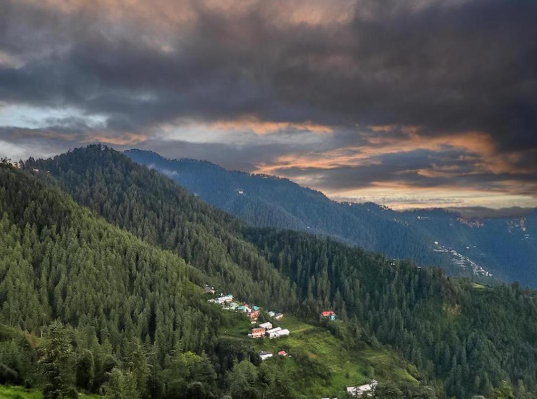 Mystic Forest View Kasauli I Serviced Villa I Best Seller I Vacations I Family Events I Open Air Lawn I Sky Bonfire I Kasauli By Exotic Stays Exterior foto